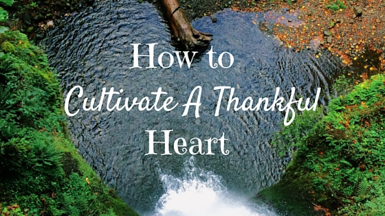 How to cultivate a thankful heart