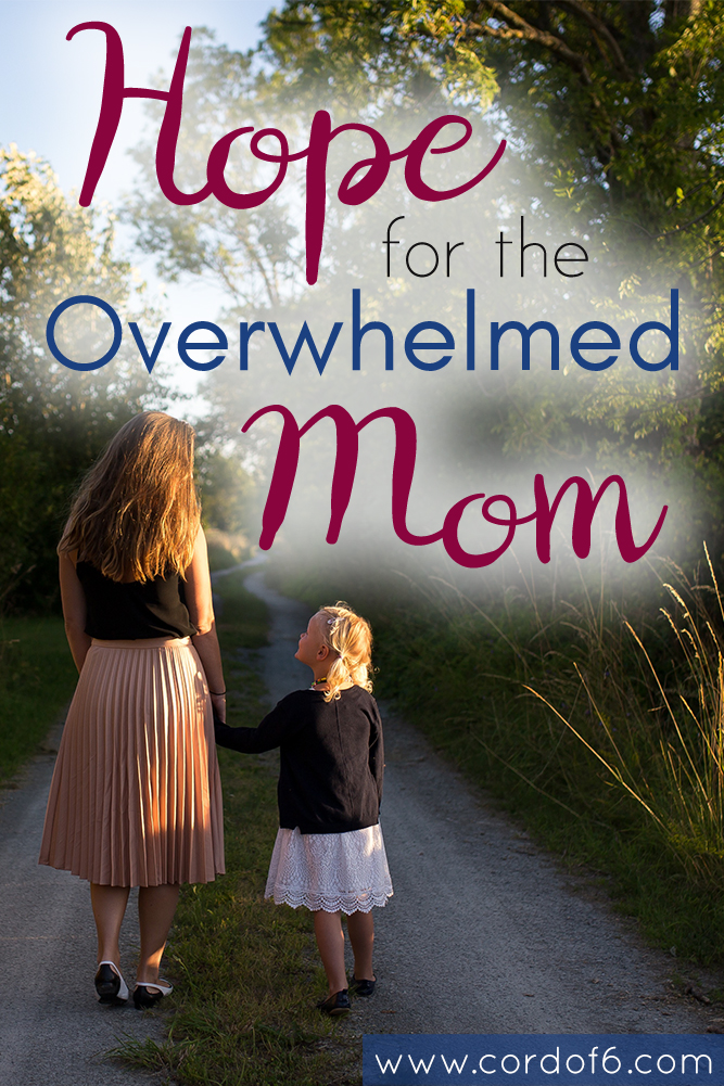  Have you ever felt overwhelmed by motherhood? Keri Snyder offers hope for the overwhelmed mom in her book, Why Just Survive When You Can Thrive?